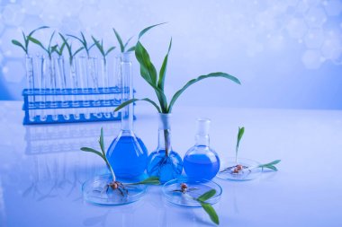 液相色譜串聯(lián)質(zhì)譜-植物激素檢測代測服務(wù)說明圖1 液相色譜串聯(lián)質(zhì)譜-植物激素檢測代測服務(wù)說明圖1