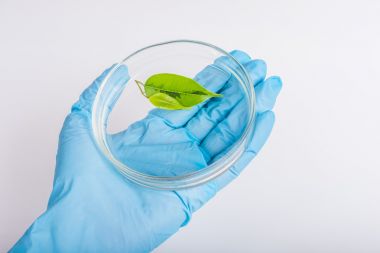 液相色譜串聯(lián)質(zhì)譜-植物激素檢測代測服務(wù)說明圖2 液相色譜串聯(lián)質(zhì)譜-植物激素檢測代測服務(wù)說明圖2
