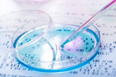 液相色譜串聯質譜檢測與高效液相色譜檢測的區別圖3