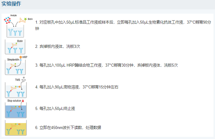 人視黃醇結(jié)合蛋白4(RBP4)酶聯(lián)免疫吸附測(cè)定試劑盒圖6